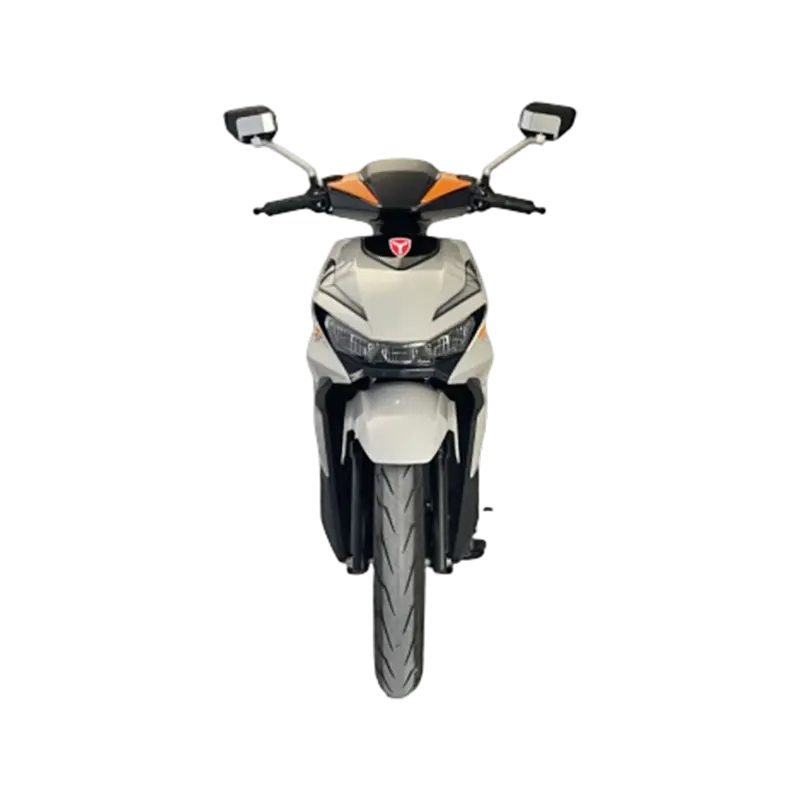 Electric Commuter Scooter EX008