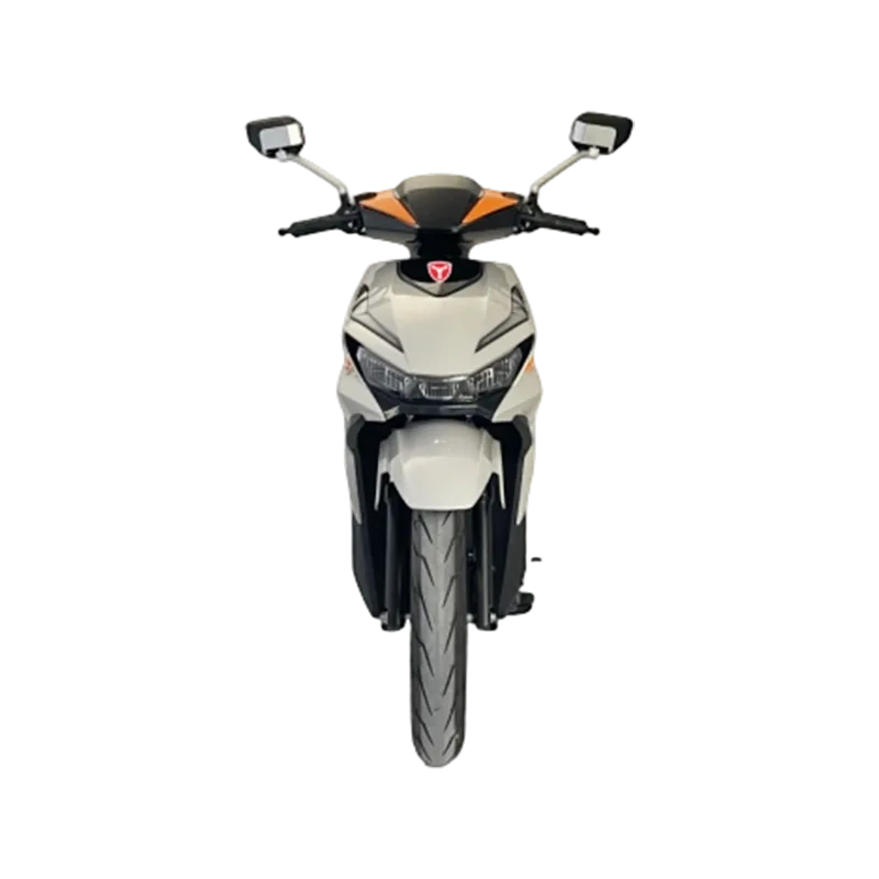 Electric Commuter Scooter EX008